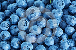 Blueberry antioxidant organic superfood, fresh blueberries background