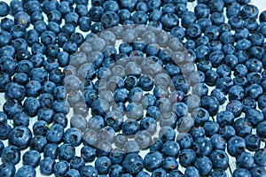 Blueberry antioxidant organic superfood, fresh blueberries background