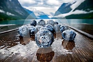 Blueberry antioxidants on a wooden table on a background of Norwegian nature