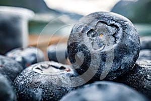 Blueberry antioxidants on a wooden table on a background of Norwegian nature