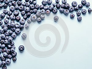 Blueberry background copy space