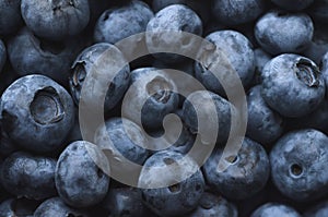 Blueberry background