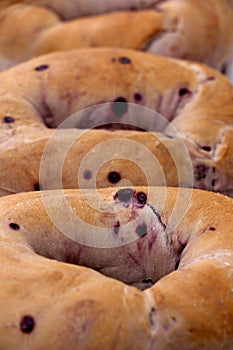 Blueberry Bagels