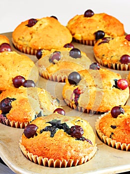 Blueberry banana muffins