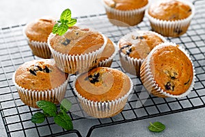 Blueberry banana muffins with fresh berries