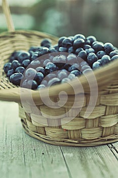 Blueberry basket