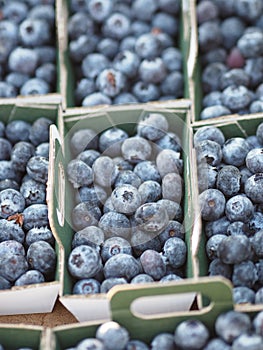 Blueberry in basket Fruit Supermarket