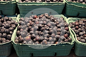 Blueberry basket at Granville Island food market
