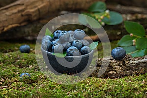 Blueberry berries in a bowl on a natural forest background.