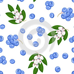 Blueberry berries, flowers and green leaves seamless pattern. Fruit background.