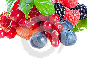 Blueberry, blackberry, raspberry. fresh berries
