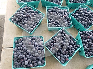 Blueberry boxes for sale at farmer& x27;s market table
