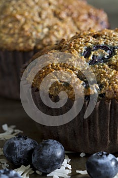 Blueberry Bran Muffins - Close Up