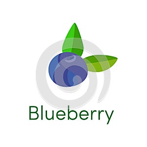 Blueberry cartoon flat icon. Vector illustration isolated on white background