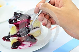 Blueberry cheese cake