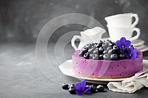 Blueberry cheesecake with fresh blueberries
