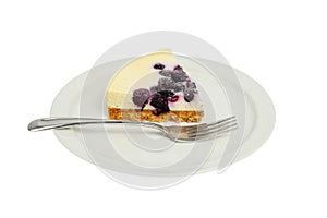 Blueberry cheesecake on plate