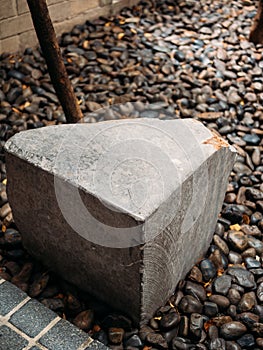 Blueberry chess cake