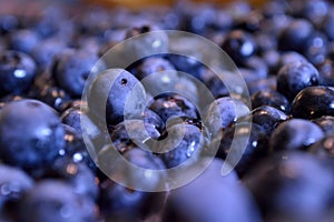 Blueberry closeup background