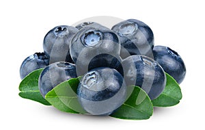 Blueberry collection isolated on white