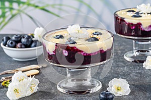 Blueberry compote with white chocolate ganache