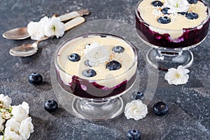 Blueberry compote with white chocolate ganache