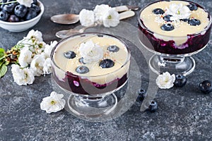 Blueberry compote with white chocolate ganache