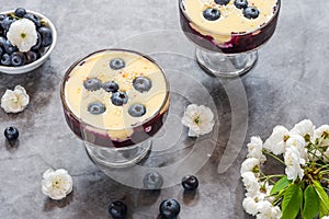 Blueberry compote with white chocolate ganache