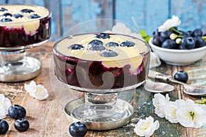 Blueberry compote with white chocolate ganache