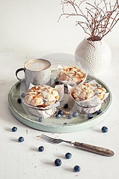 Blueberry Crumb Muffins with fresh Blueberries