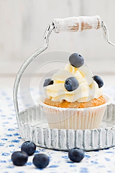 Blueberry cupcake