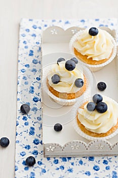 Blueberry cupcakes