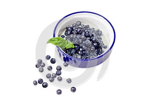 Blueberry dessert with sweetened condensed milk