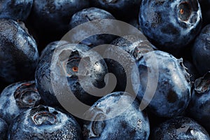 Blueberry detail background