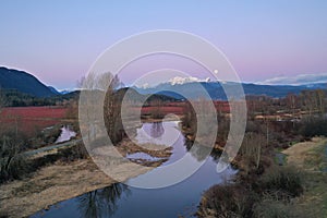 Blueberry fields and golden ears mountain in winter