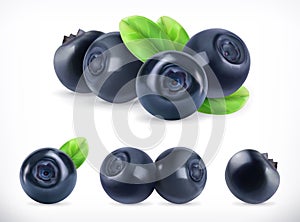 Blueberry. Forest berry. 3d vector icons set. Realistic illustration