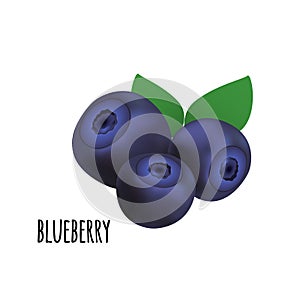 Blueberry forest berry. Vector illustration.