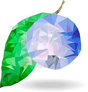 Blueberry fruit drawn in polygonal style.