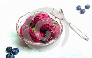 Blueberry fruit ice cream in a cup isolated