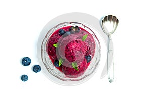 Blueberry fruit ice cream in a cup isolated