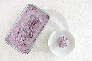 Blueberry Ice Cream in Container and Scoop in Bowl