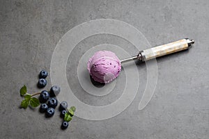 Blueberry icecream refreshment gelato diet sweet home made