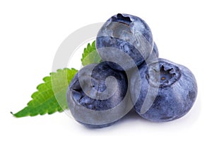 Blueberry photo