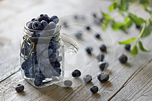 Blueberry in jar