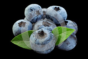 Blueberry with leaf closeup