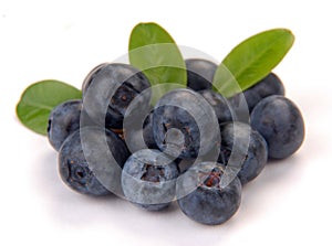 Blueberry with leaves