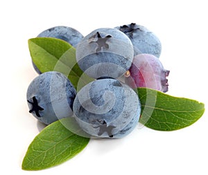 Blueberry with leaves