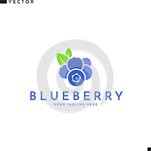 Blueberry with leaves. Abstract logo