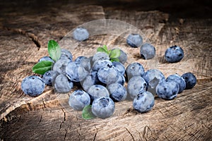 Blueberry with leaves on wood