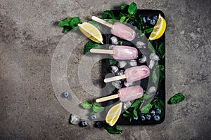 Blueberry lemonade popsicles